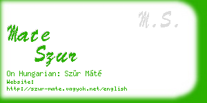 mate szur business card