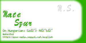 mate szur business card